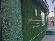 сеть салонов цветов MEGAFLOWERS в Южноуральске