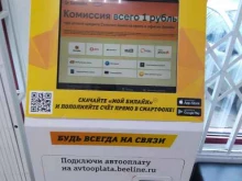 Билайн, Сергея Лазо, 28в 