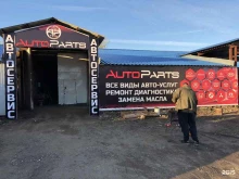 автокомплекс AutoParts в Саранске