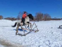 конный клуб Спирит в Петропавловске-Камчатском