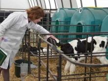 компания по продаже сырого молока Бородулинское в Екатеринбурге