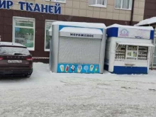 киоск по продаже мороженого Славица в Барнауле