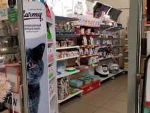 магазин зоотоваров Котовасия в Архангельске