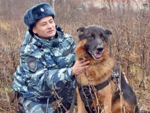 газета Волна в Зеленоградске