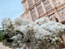Московский государственный технический университет им. Н.Э. Баумана, Лефортовская набережная, 1 
