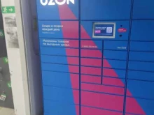 Постаматы Ozon в Октябрьском