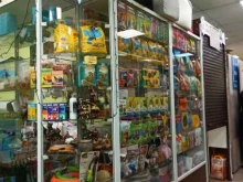 Копировальные услуги Магазин зоотоваров в Омске