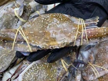 магазин Море рыбы в Кавказских Минеральных Водах