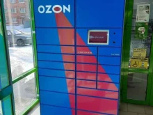 №8283 OZON Box в Перми
