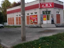 ветеринарная клиника Цезарь в Новоалтайске