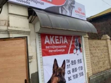 ветеринарная лечебница АКЕЛА в Астрахани