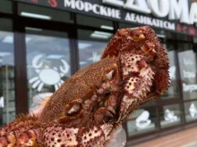 магазин морепродуктов Моредома в Волгограде