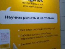 центр коррекции и развития речи Тигрёнок в Кургане
