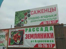 Дачник, Придорожная, 8 