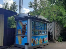 киоск по продаже мороженого Славица в Казани