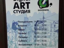 студия диджитал-искусств Goodwin в Мурманске