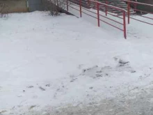 сеть аптек Фармленд в Казани