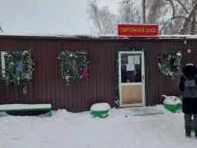 Ледовые дворцы / Катки Каток в саду Победы в Челябинске