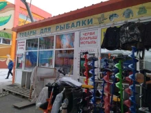 магазин товаров для рыбалки Рыбацкий ряд в Тюмени