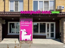 Мокрый нос, Шукшина, 2 