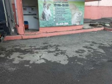 магазин зоотоваров Мухтар в Березовском
