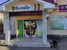 офис обслуживания билайн в Мысках