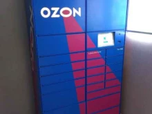 Ozon box, Поклонная улица, 15 