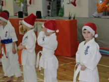 Спортивные школы Федерация Киокусинкай каратэ г. Ухты в Ухте