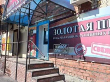 магазин разливного пива Золотая пена в Тольятти