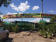 питомник растений Зелентрест в Саратове