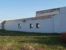 Вышгородский, улица Митрохина, 1 