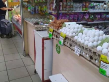 ИП Кононова Я.В. Магазин зоотоваров в Орехово-Зуево