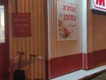 Магазин цветов, Кедрова, 26 