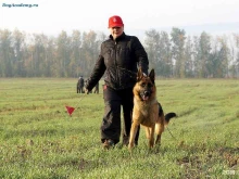 центр дрессировки Собачья академия в Екатеринбурге