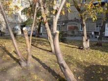 ТСЖ Александровский, Мичурина, 19 