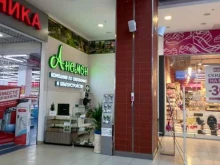 питомник зимостойких декоративных и плодовых растений Анемон в Саратове