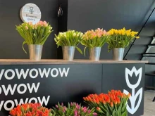 Магазин цветов Цветы и кофе в Нижнем Новгороде