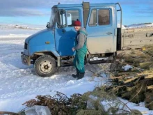 дом детского творчества Дом природы в Тобольске