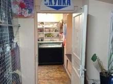 Антиквариат Магазин антиквариата в Санкт-Петербурге