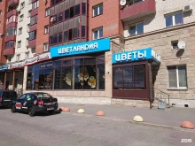Цветландия, Ленинский проспект, 88 
