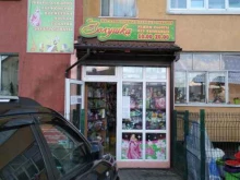 магазин Золушка в Калининграде