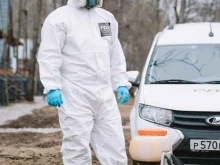 Дезинфекция / Дератизация / Дезинсекция Региональная дезинфекционная компания-Восток в Комсомольске-на-Амуре