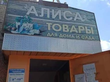 магазин хозтоваров и строительных материалов Алиса в Верхней Пышме