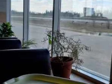 Elke auto, Окрестность деревни Петрово, АЗС 