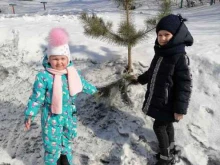 детский сад №5 Белочка в Киселевске