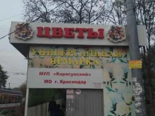 Цветы Универсальная ярмарка цветов в Краснодаре