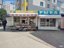 Киоск по продаже фруктов и овощей, Пионеров, 13а/1 киоск 