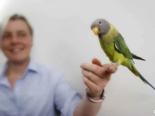 ветеринарная клиника Ягуарвет в Москве