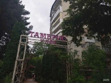 кафе Тамерис в Нальчике