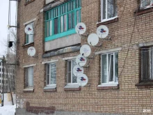 Музеи Музей занимательного ЗдоровьЯ в Сыктывкаре